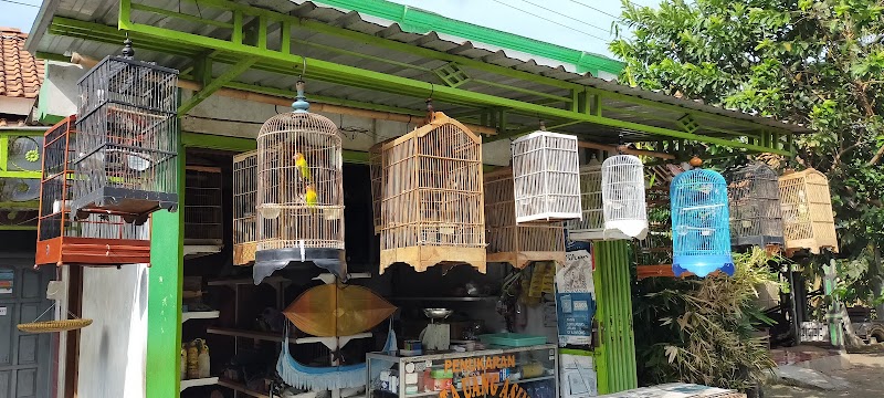 Burung Landung Jaya: Tempat Hobi Burung yang Menyatu dengan Kehidupan Cilacap